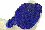 Vibrant Blue Azurite Suns on Siltstone - Australia #287974-2